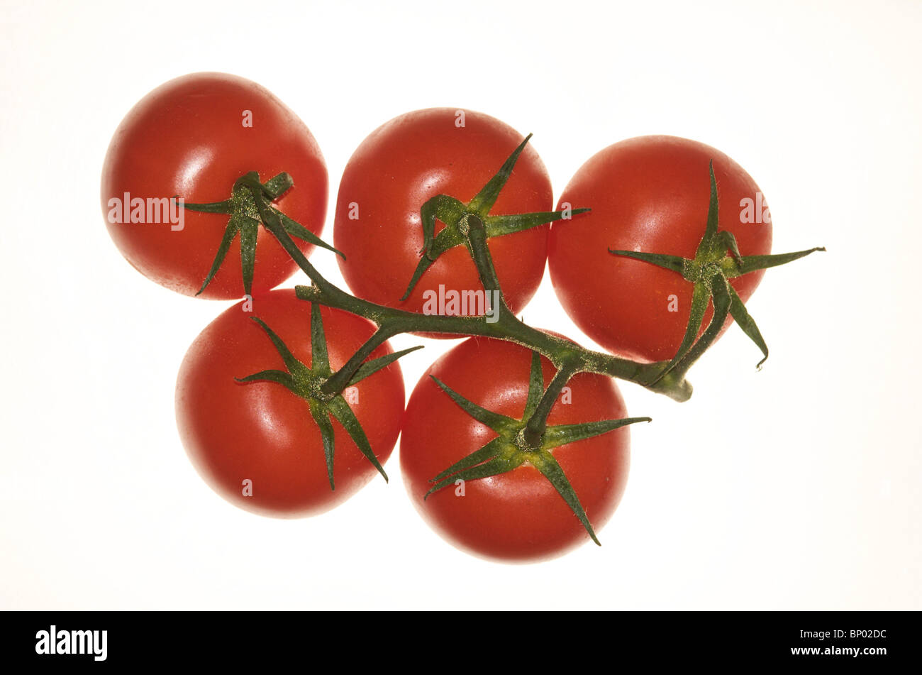 Cut-out images of tomatoes Stock Photo