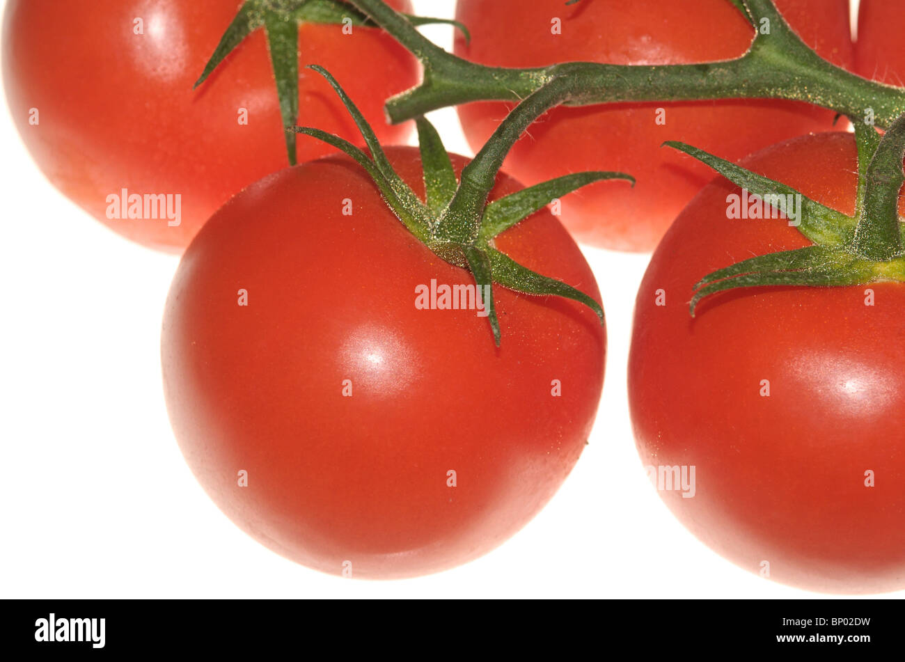 Cut-out images of tomatoes Stock Photo
