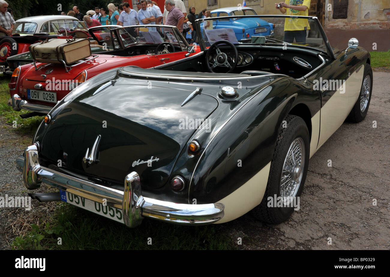 Vintage car Austin Healey in back view Stock Photo Alamy