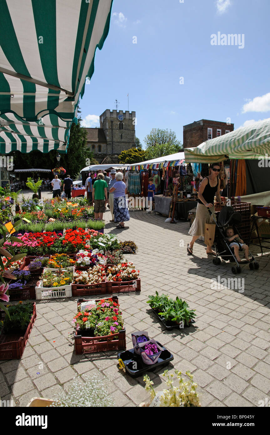 Market trader selling plants and flowers from a stall on The Square Petersfield a market town in Hampshire southern England UK Stock Photo