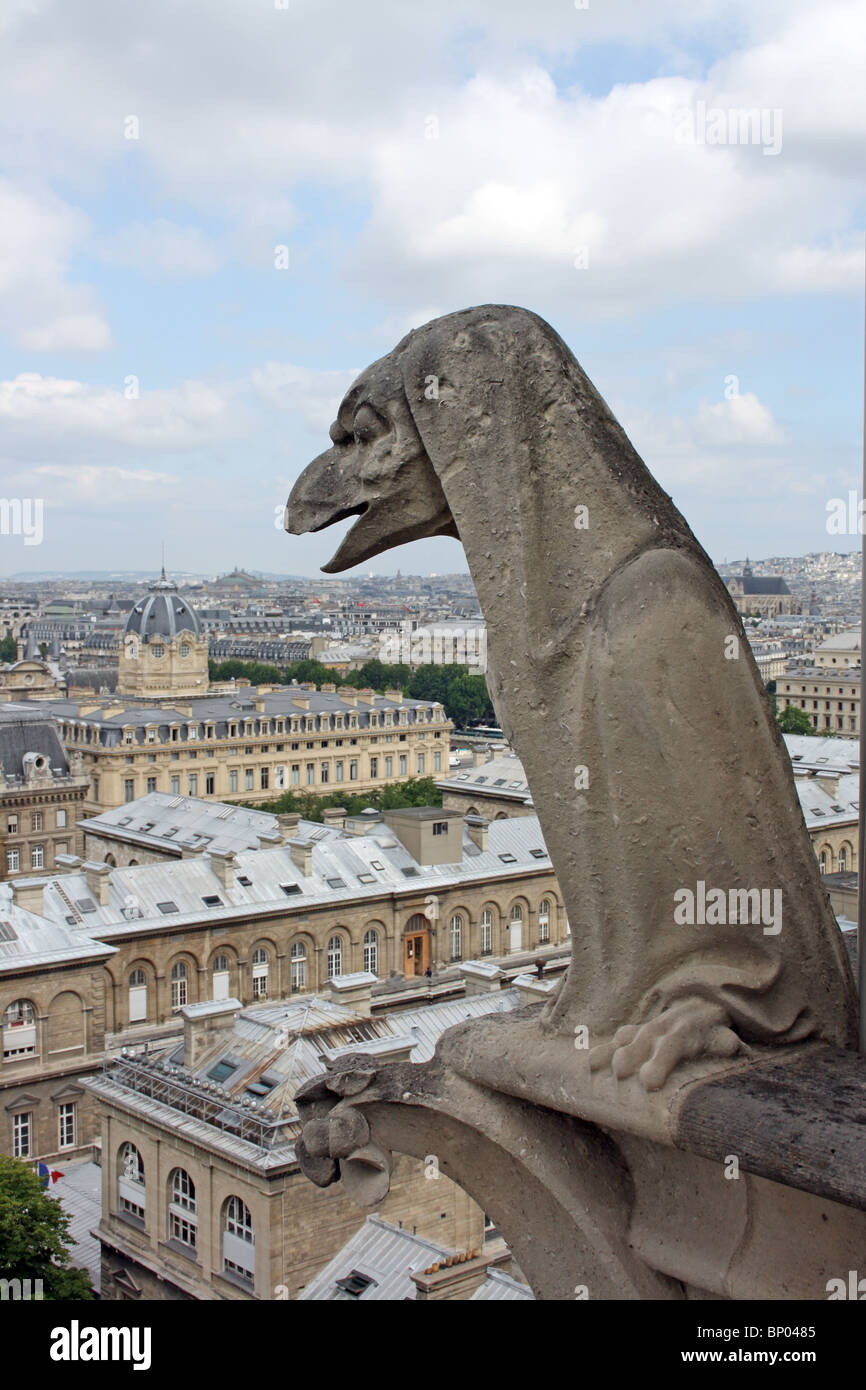 Notre Dame Cathedral, Paris.  Chimera 10, shrouded bird,  on the balcony, Stock Photo