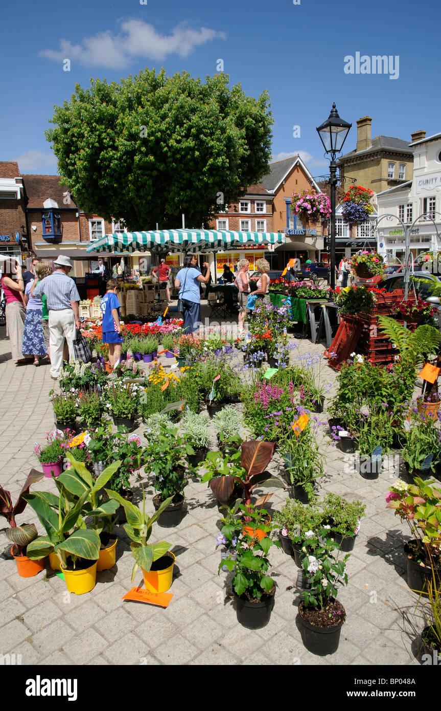 Market trader selling potted plants and flowers from a stall on The