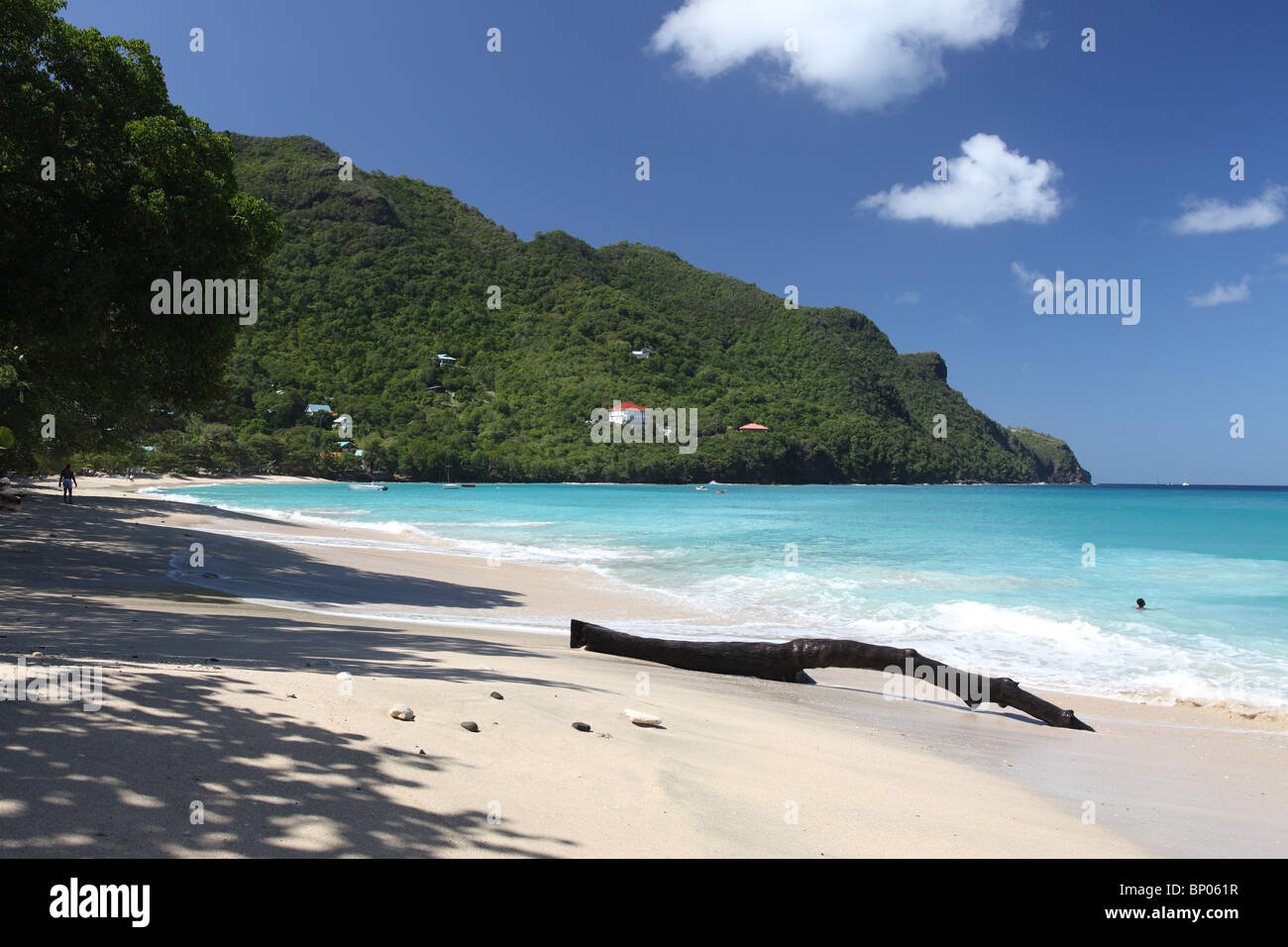 Tropical beach on Bequia Island, St. Vincent in the Caribbean Stock Photo