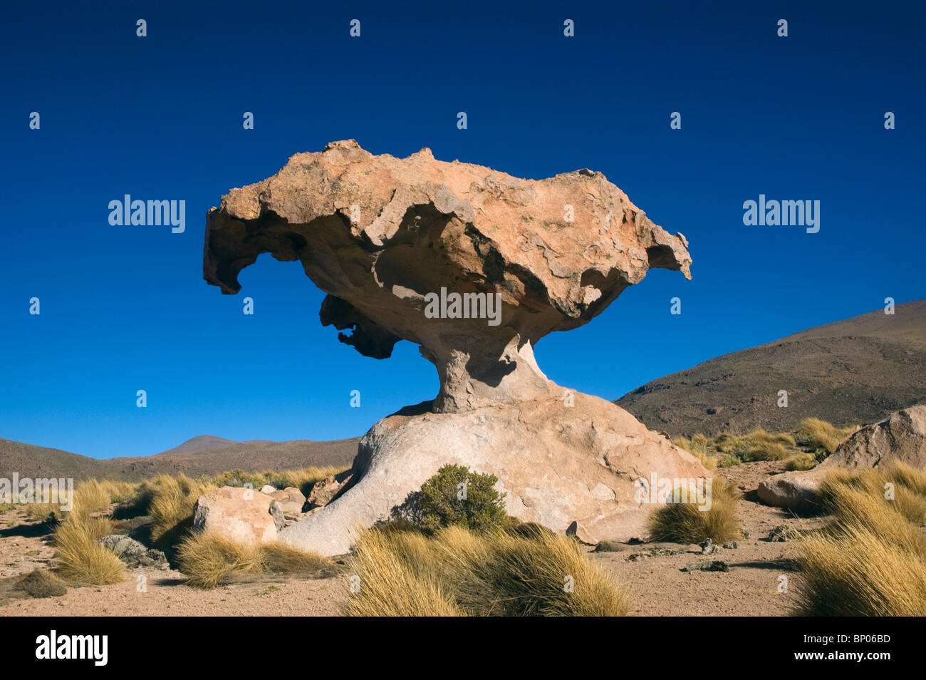 An eroded sandstone rock on the High Altiplano, South West Bolivia ...