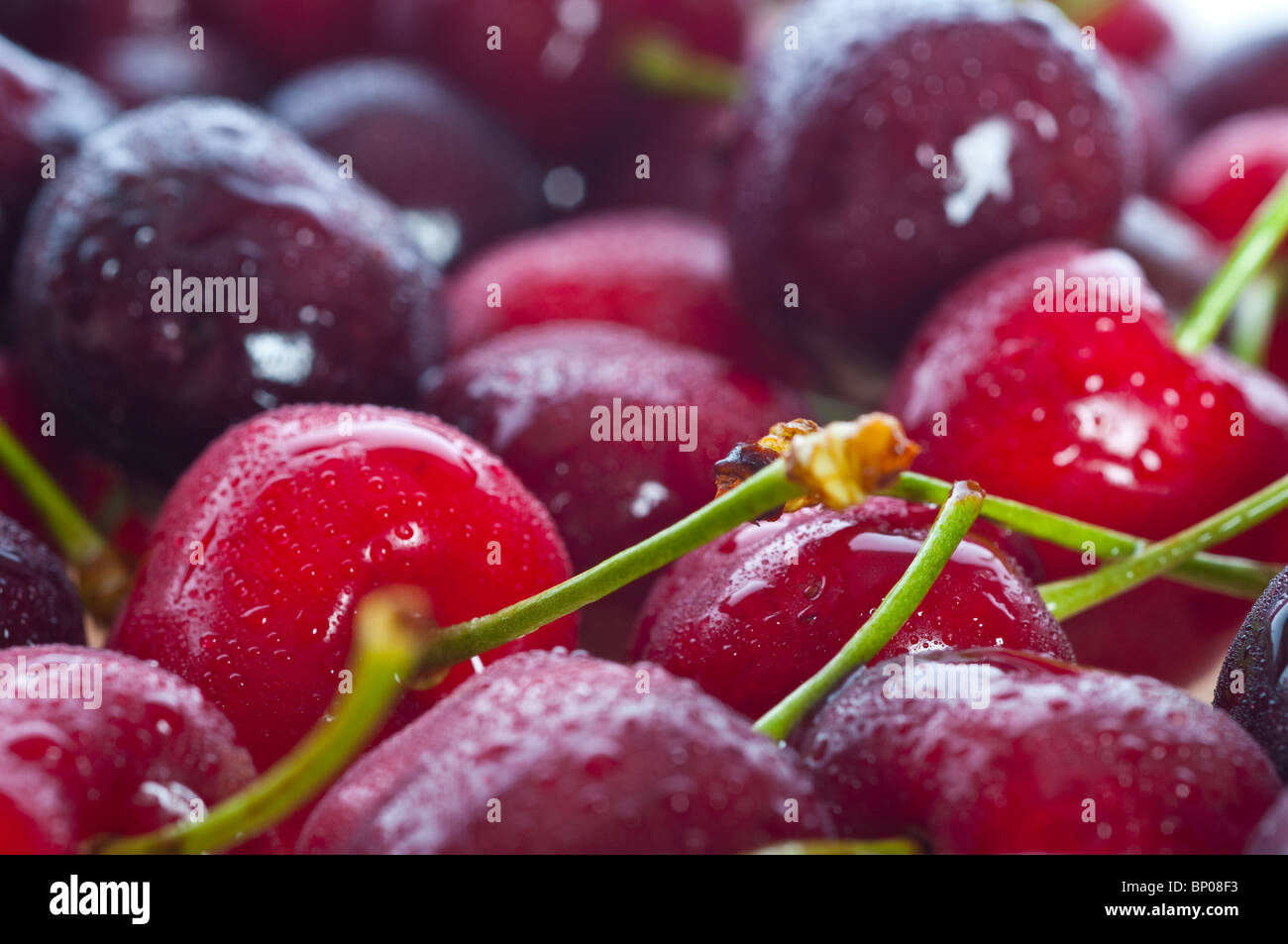 Juicy stalk hi-res stock photography and images - Alamy