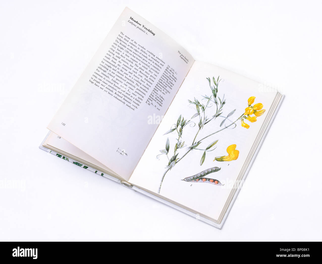 A flower book showing Meadow Vetchling Stock Photo