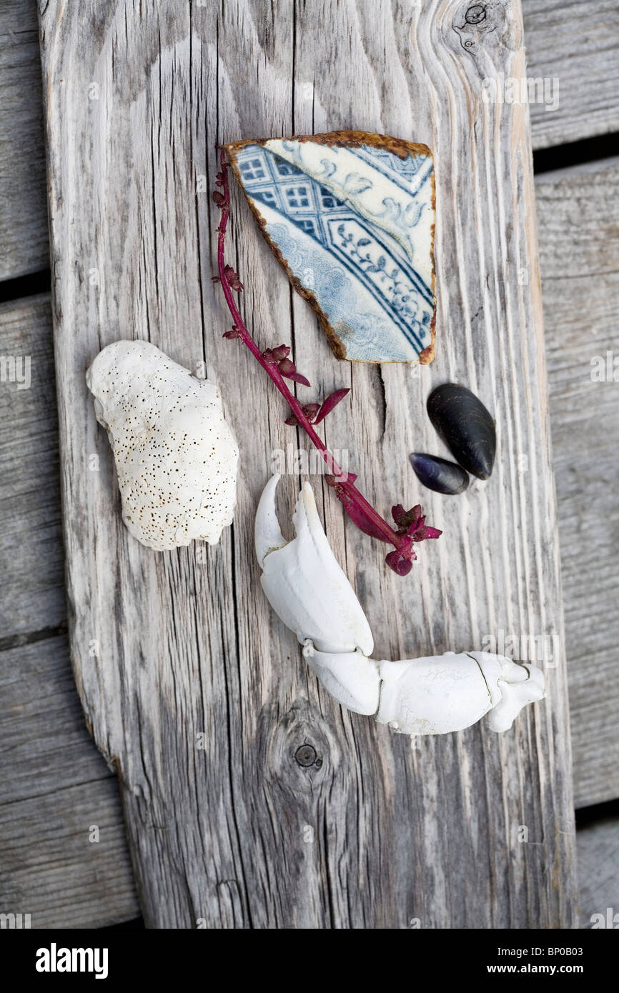 Beach combing objects on plank of wood Stock Photo