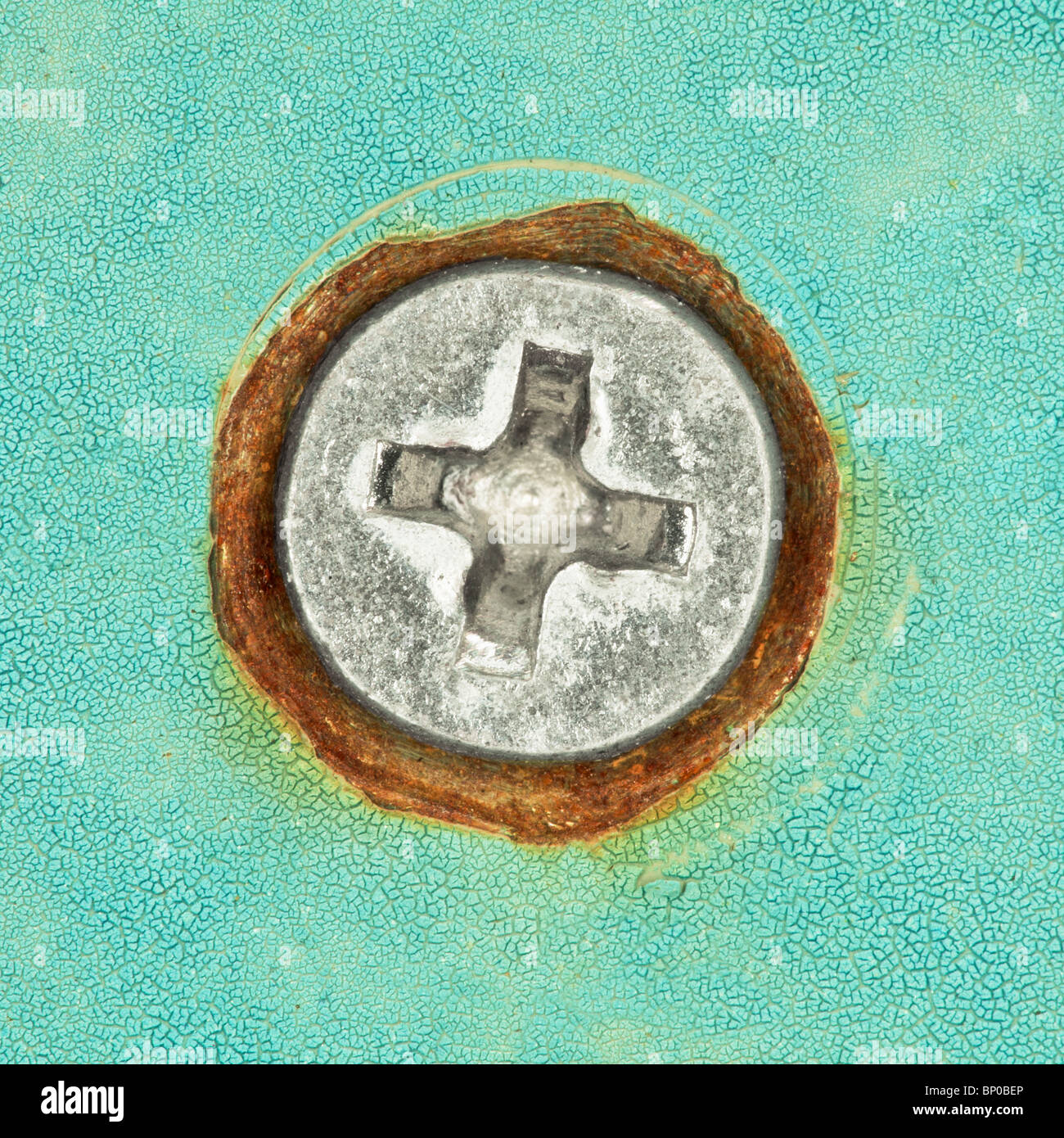 Screw head with cross slots closeup on blue surface Stock Photo Alamy