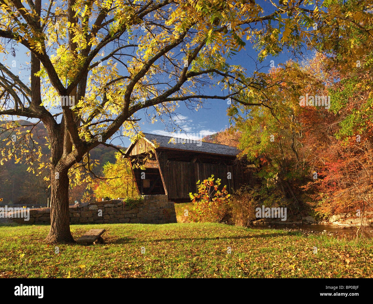 Wooden bridge covered with autumn leaves hi-res stock photography and ...