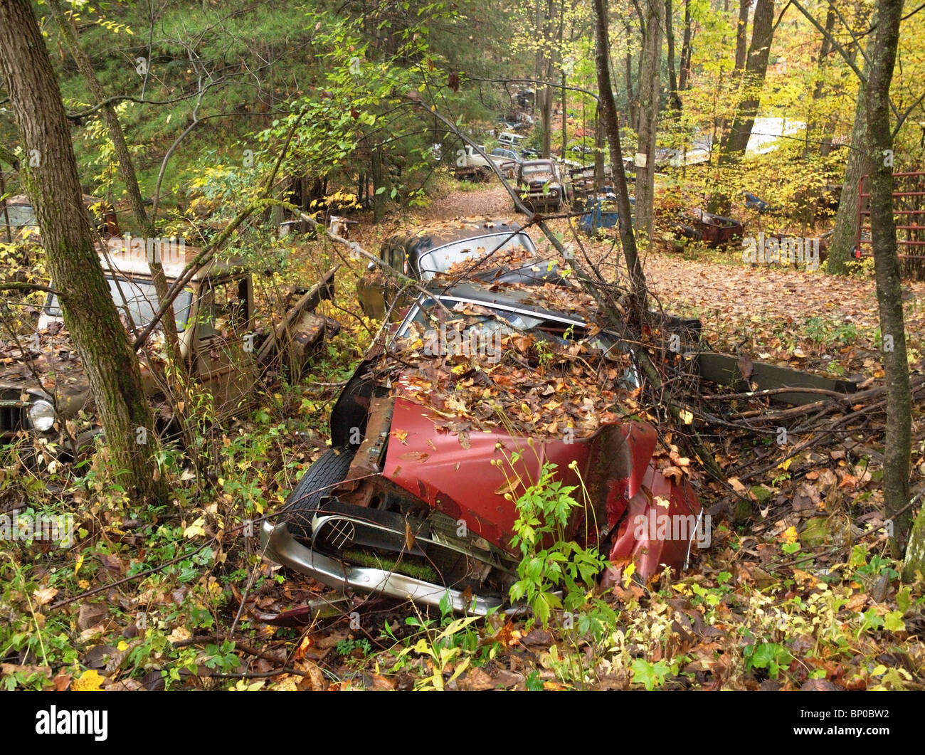 Vintage cars abandoned in scrap hi-res stock photography and images - Alamy