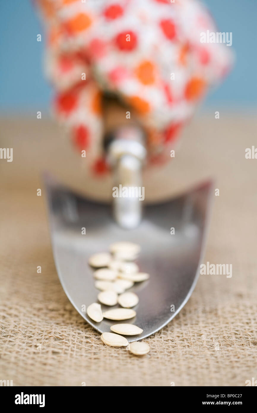 Hand holding garden trowel with seeds Stock Photo