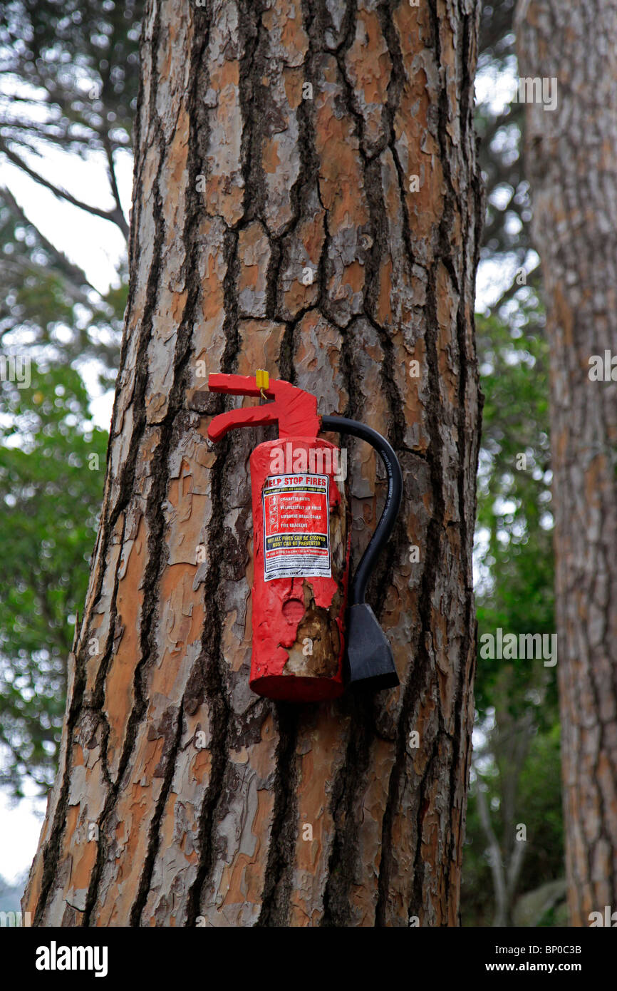 Old wooden fire extinguisher with " Help stop fires" warning in Table