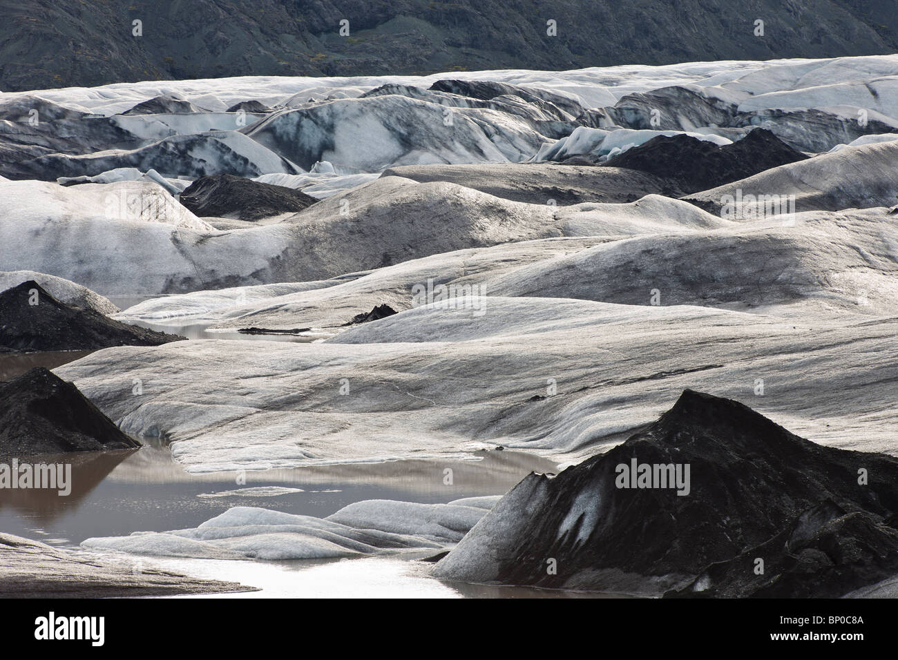The glacier, Hoffellsjokull, east coast of Iceland Stock Photo - Alamy