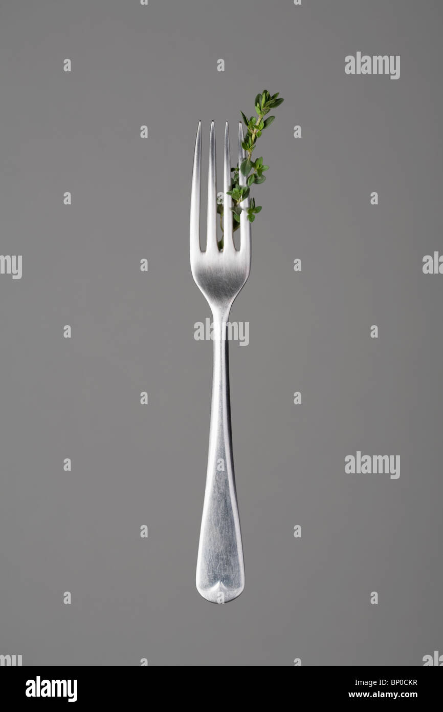 Fork with thyme branch Stock Photo