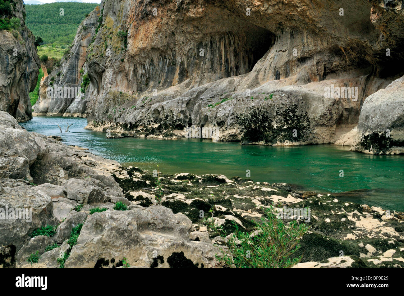 Spain, Navarra: Canyon Foz de Lumbier Stock Photo