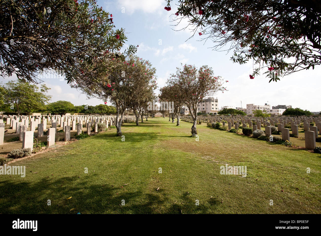 Commonwealth War Cemetery in Gaza City. Photo:Jeff Gilbert Stock Photo