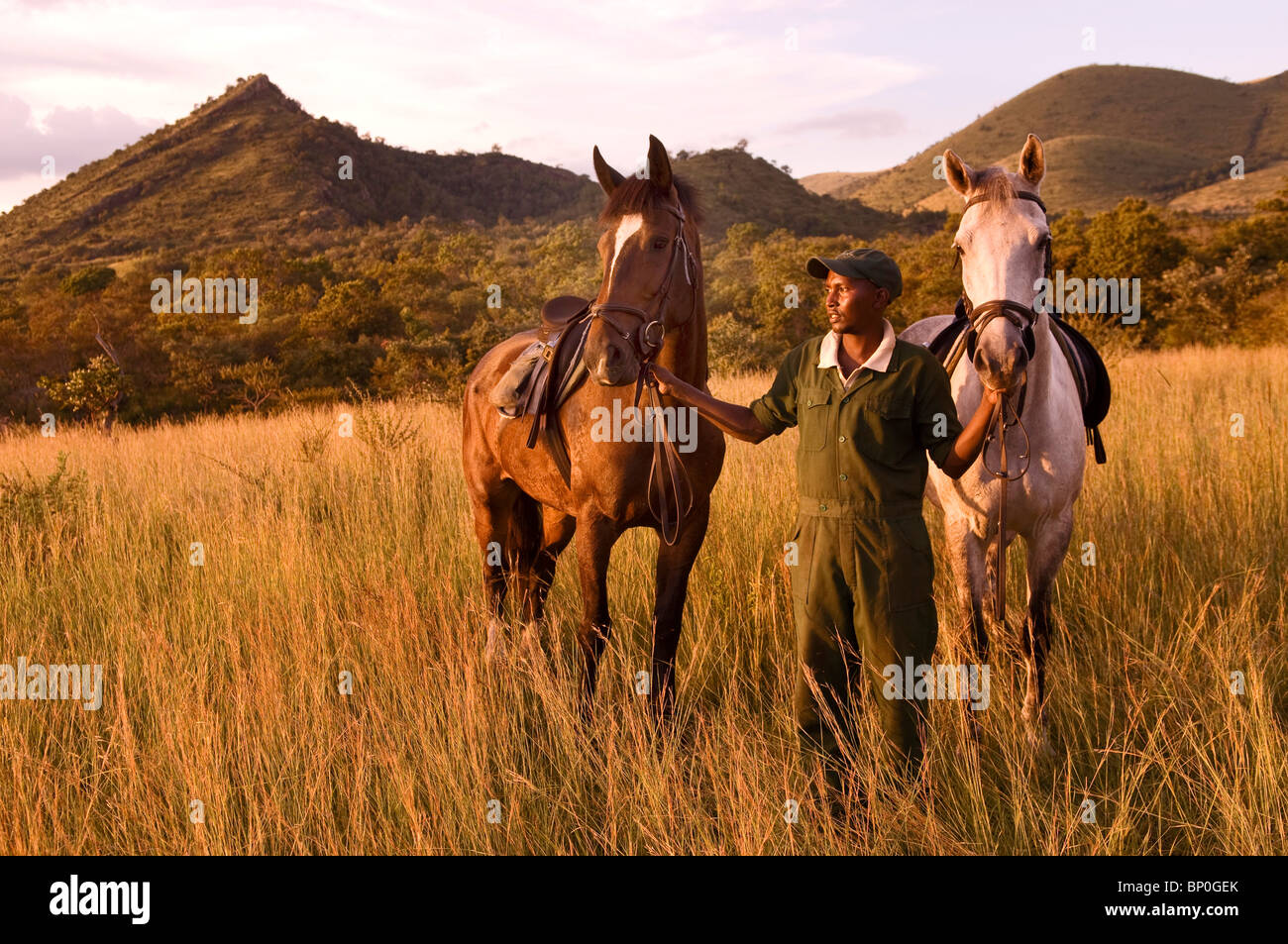 Kenya, Chyulu Hills, Ol Donyo Wuas. An African groom or syce holds