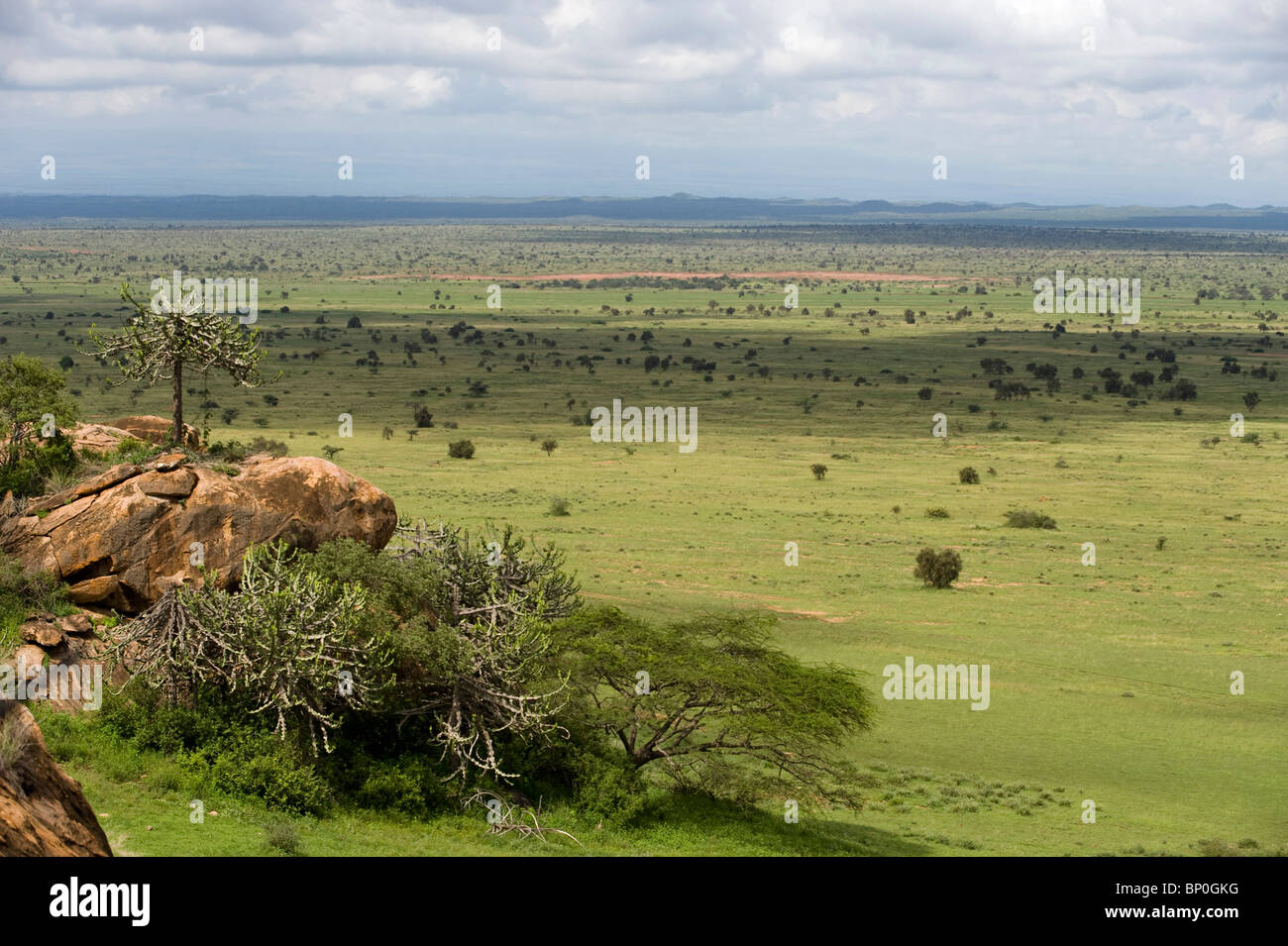 Kenya, Chyulu Hills, Ol Donyo Wuas. View across the plains. Stock Photo