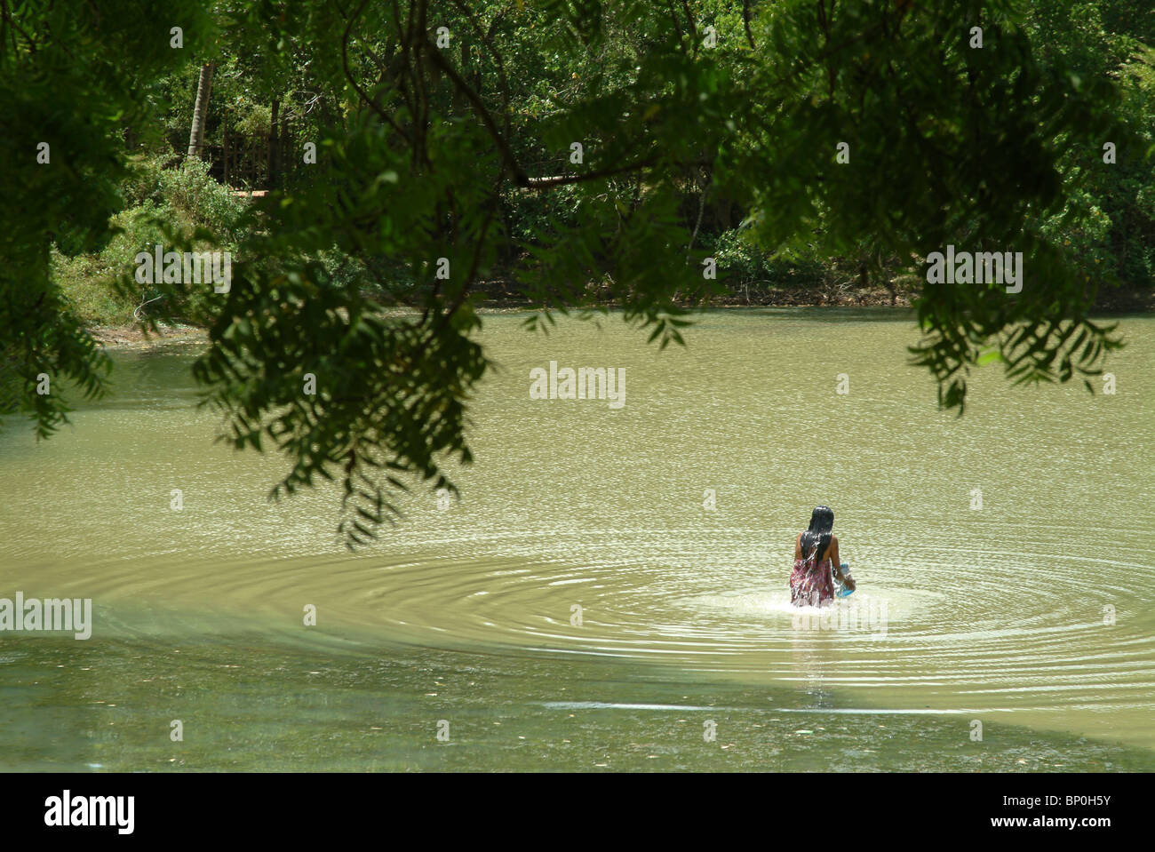 Sri Lanka, woman swimming in a river Stock Photo Alamy