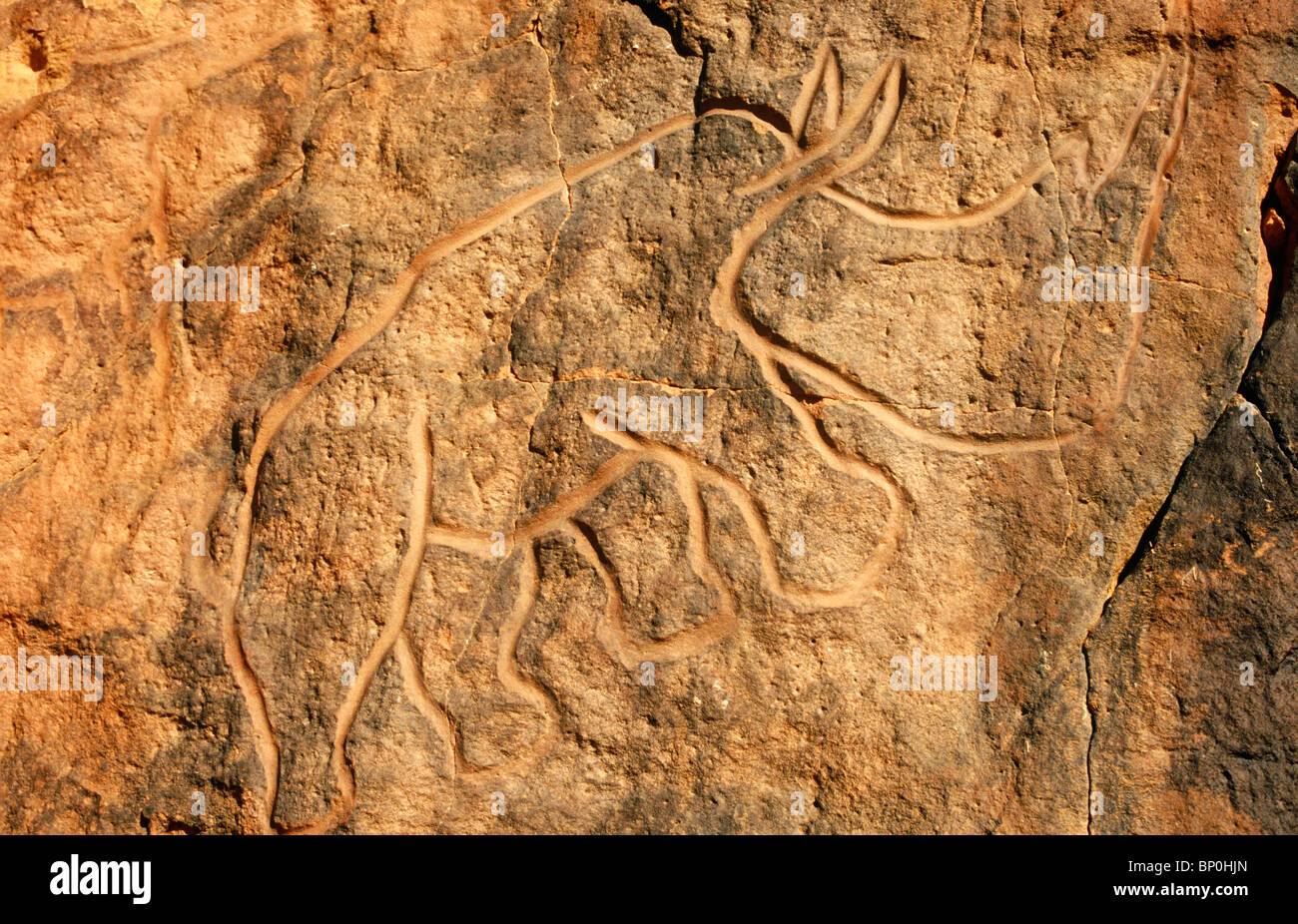 Libya, Fezzan, Messak Settafet. A petroglyph of a rhinoceros stands