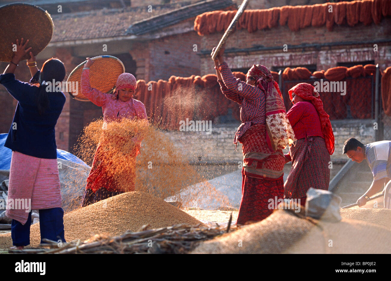 Winnowing grain in the streets of Bungamati, Kathmandu Valley, Nepal