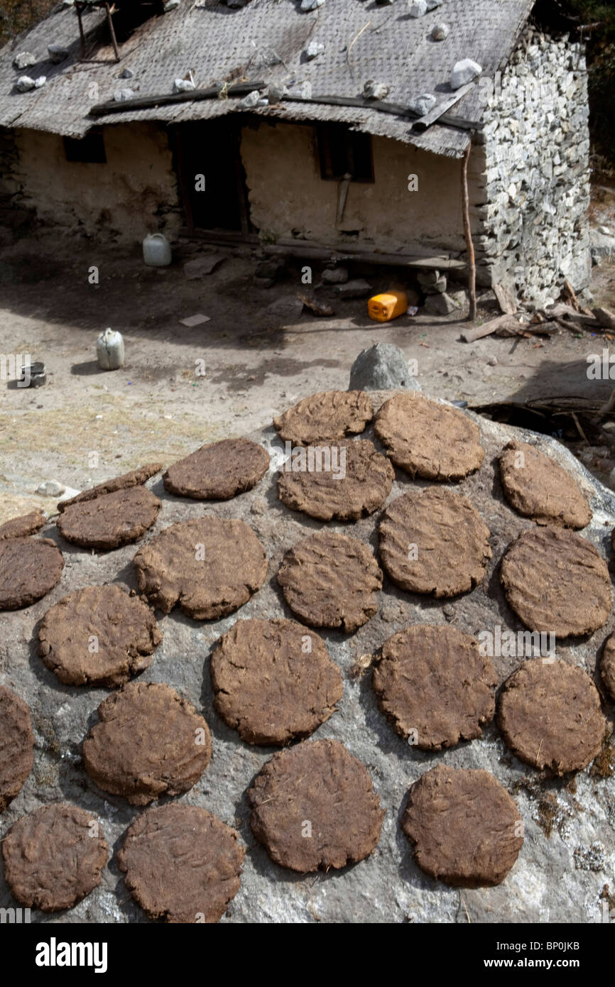 Yak dung house hi-res stock photography and images - Alamy