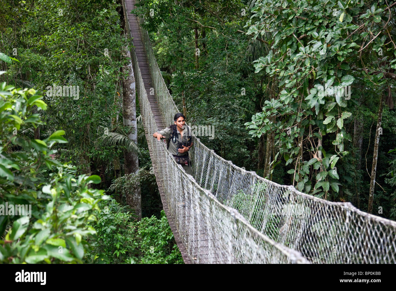 Canopy walkway peru hi-res stock photography and images - Alamy