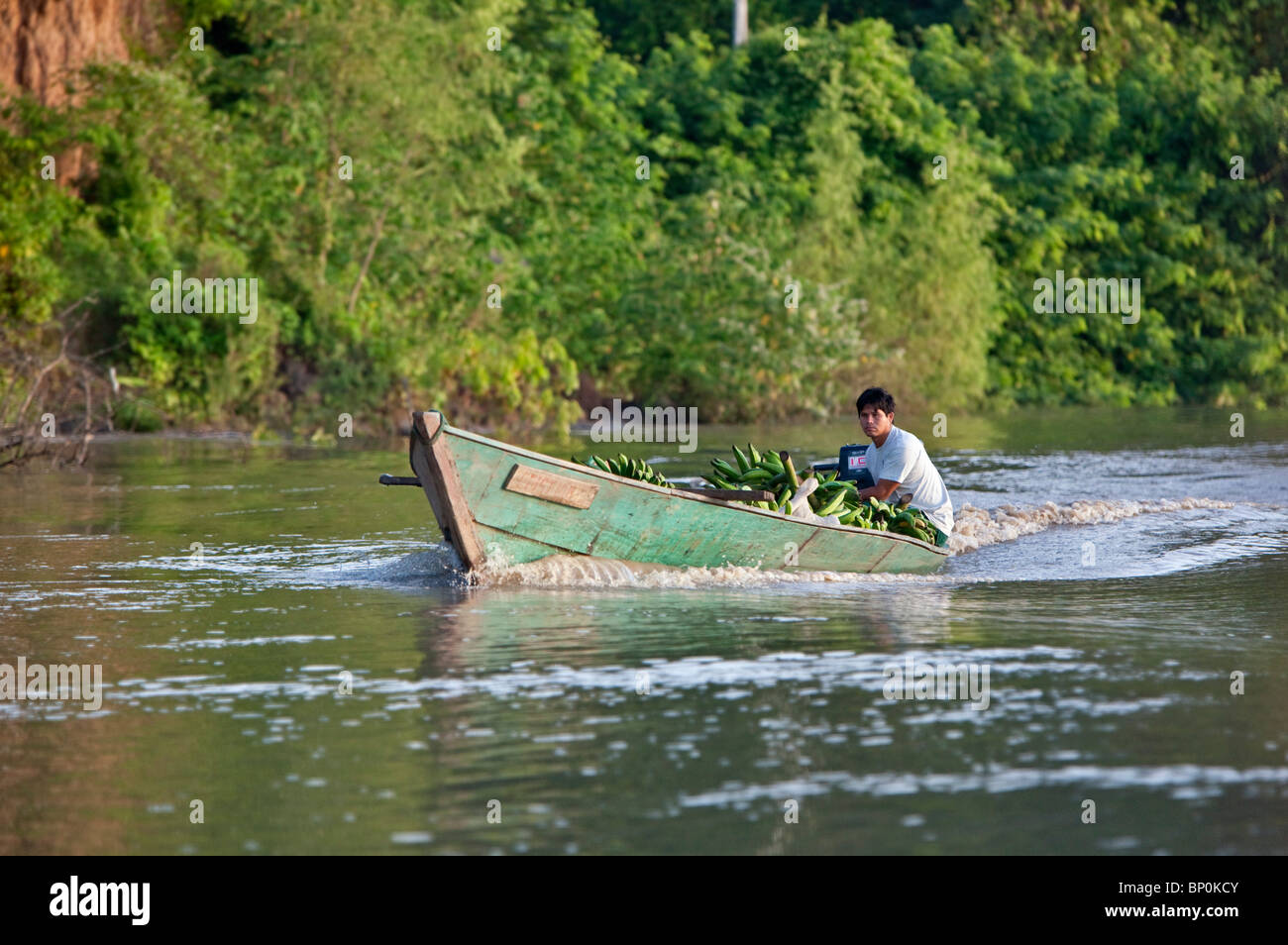 Peru. A man taking a load of bananas to market on the Madre de Dios River, a tributary of the Amazon. Stock Photo