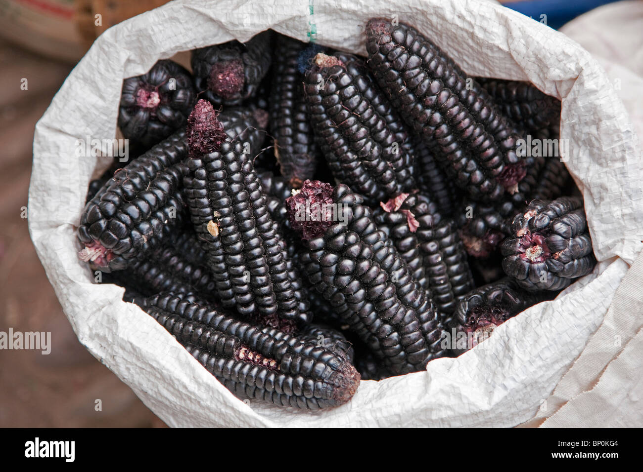 Peru. Black maize cobs, or corn, for sale at Pisac market during the busy weekly Sunday market. Stock Photo