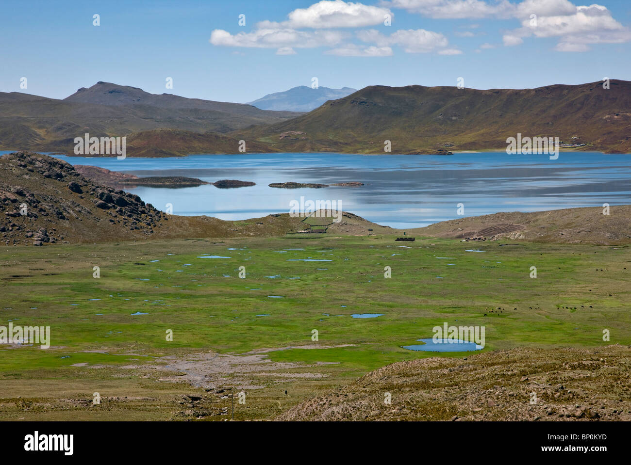 Peru, Lake Lagunillas is situated in the altiplano of the Andes at an altitude of over 4,000m between Arequipa and Colca Canyon. Stock Photo