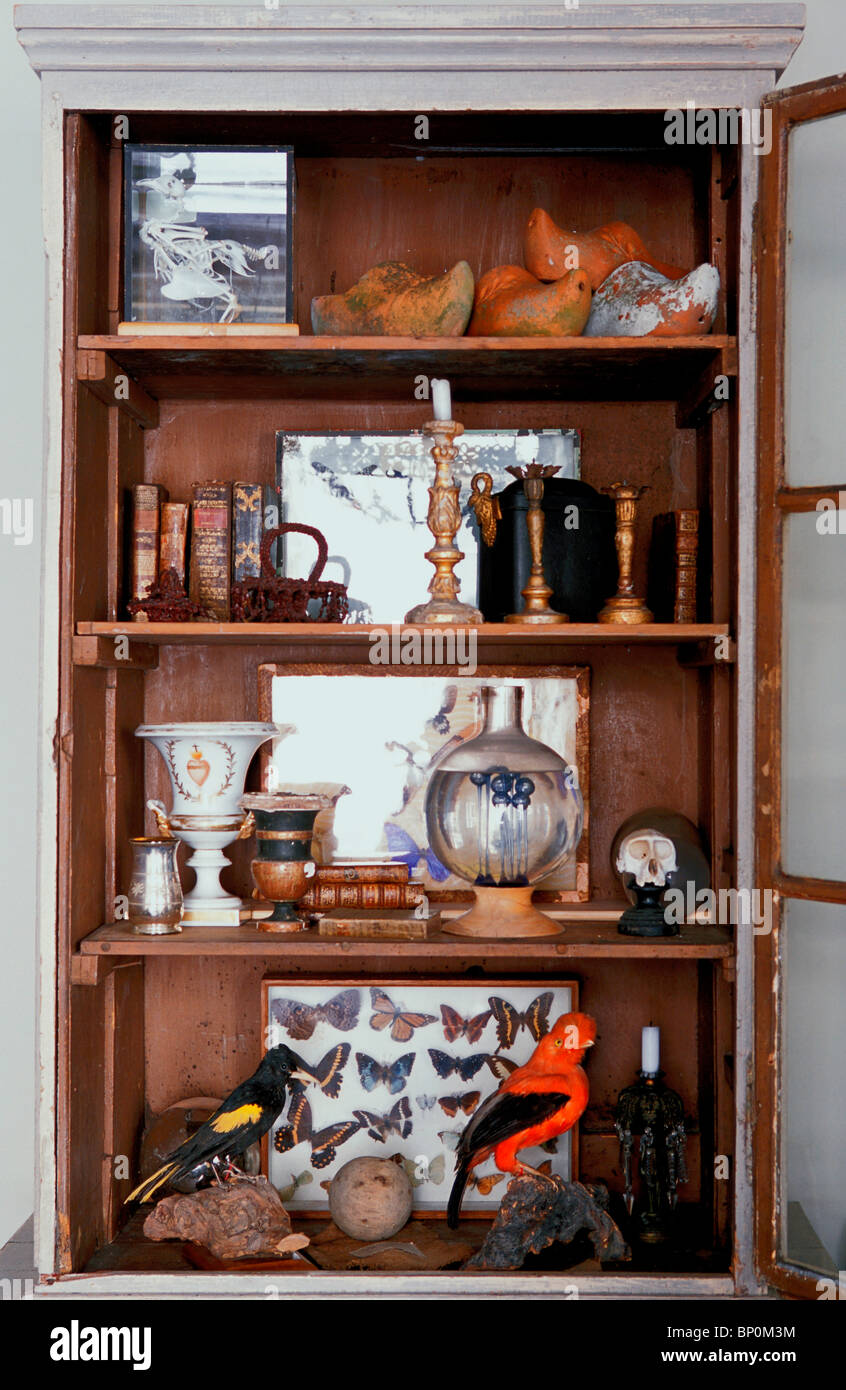 Of Curiosities High Resolution Stock Photography and Images Alamy