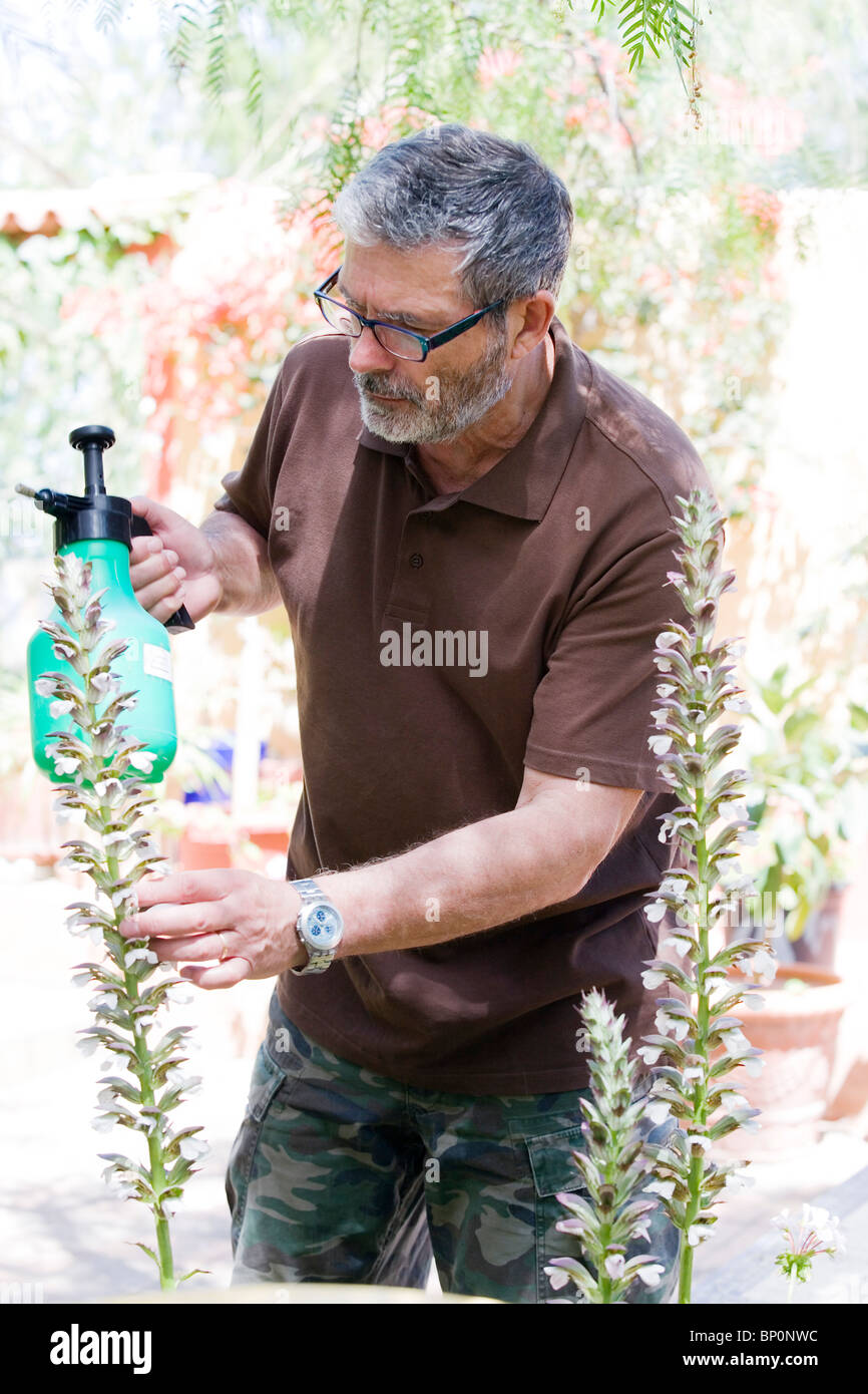 Man gardening hi-res stock photography and images - Alamy