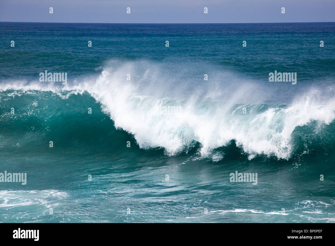 Roller wave, Tenerife, Canary Islands, Spain Stock Photo - Alamy