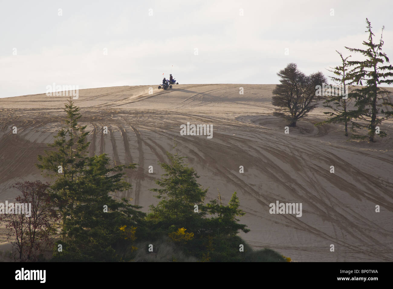 All terrain vehicles in Umpqua Dunes in the Oregon Dunes National recreation area near Coos Bay Oregon Stock Photo