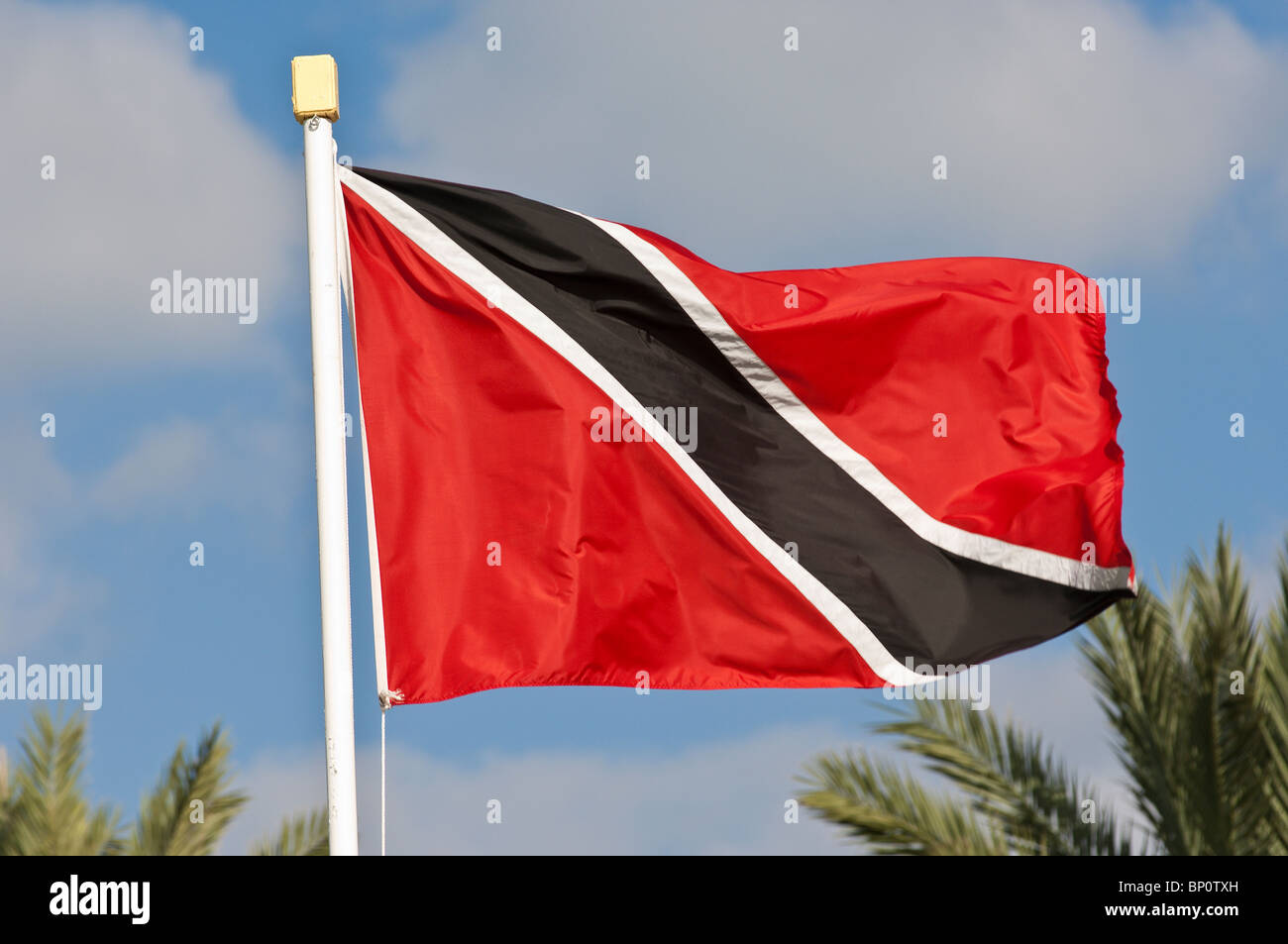 Trinidad & Tobago flag Stock Photo Alamy