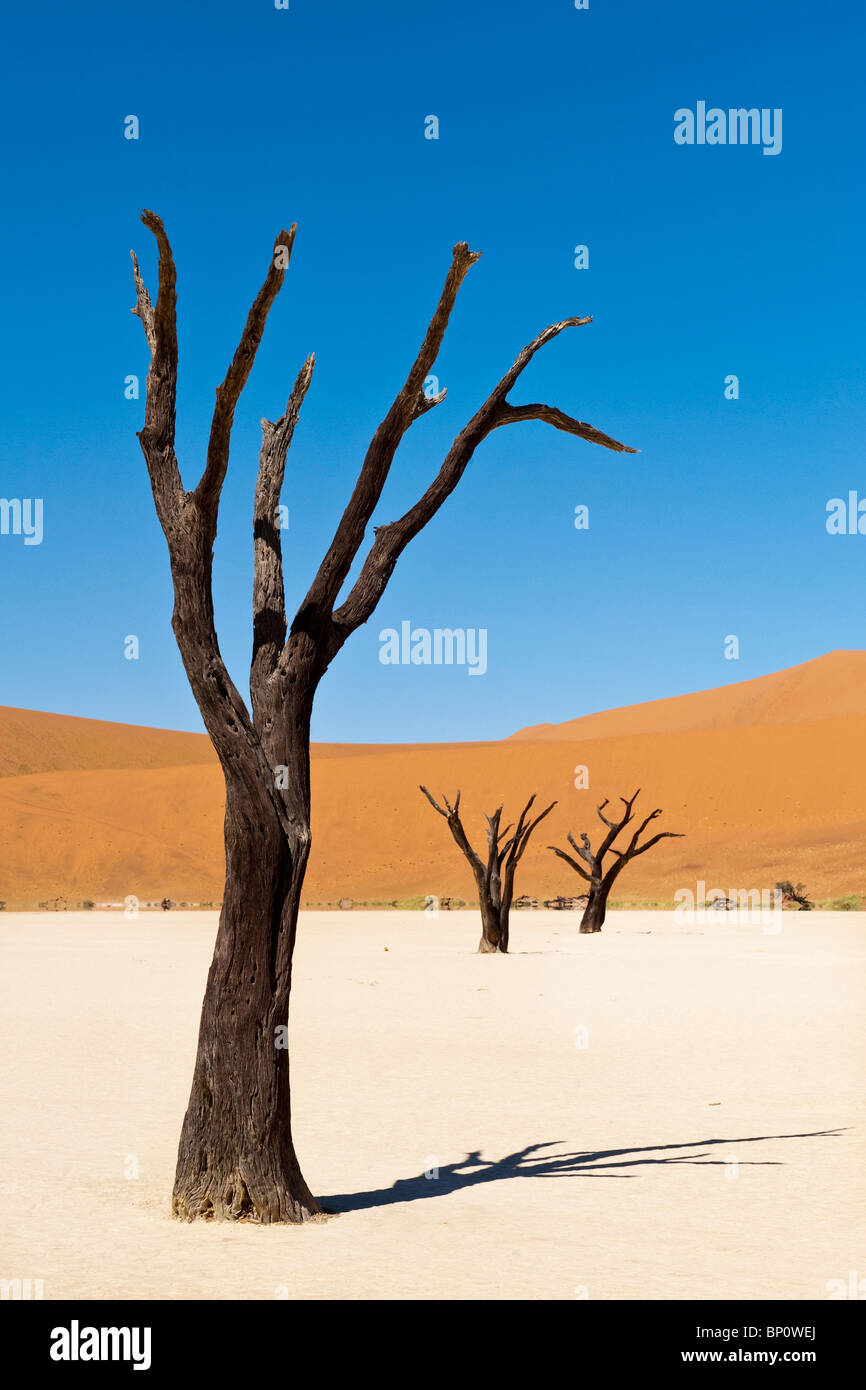 Dead Vlei at Sossusvlei landscape with dead Acacia trees and red sand dunes Namib Naukluft Park Namibia Stock Photo