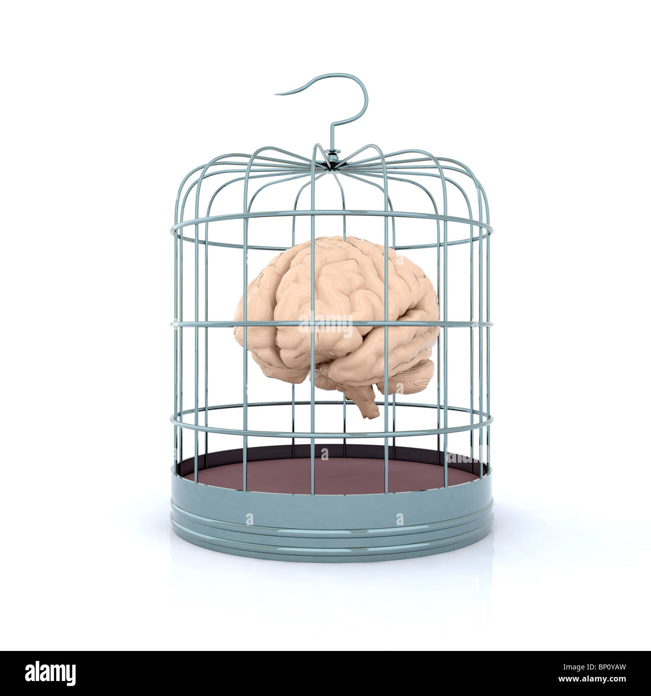 brain in the birdcage Stock Photo