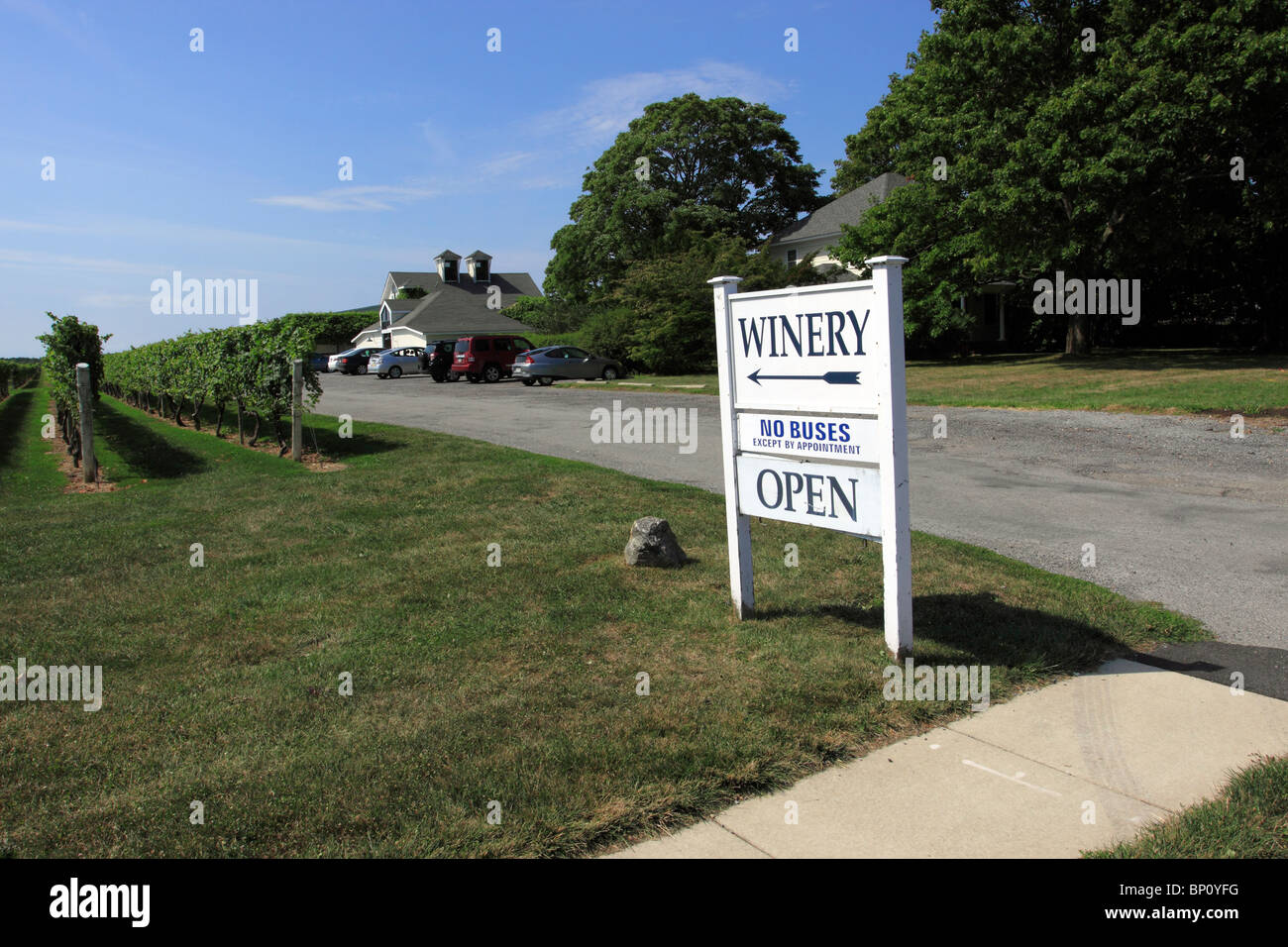 Lenz winery and vineyard, Peconic, north fork of eastern Long Island NY