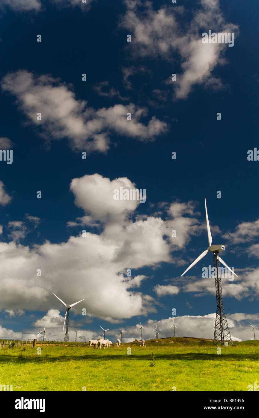 Palmerston North, New Zealand; Wind Turbines Stock Photo Alamy