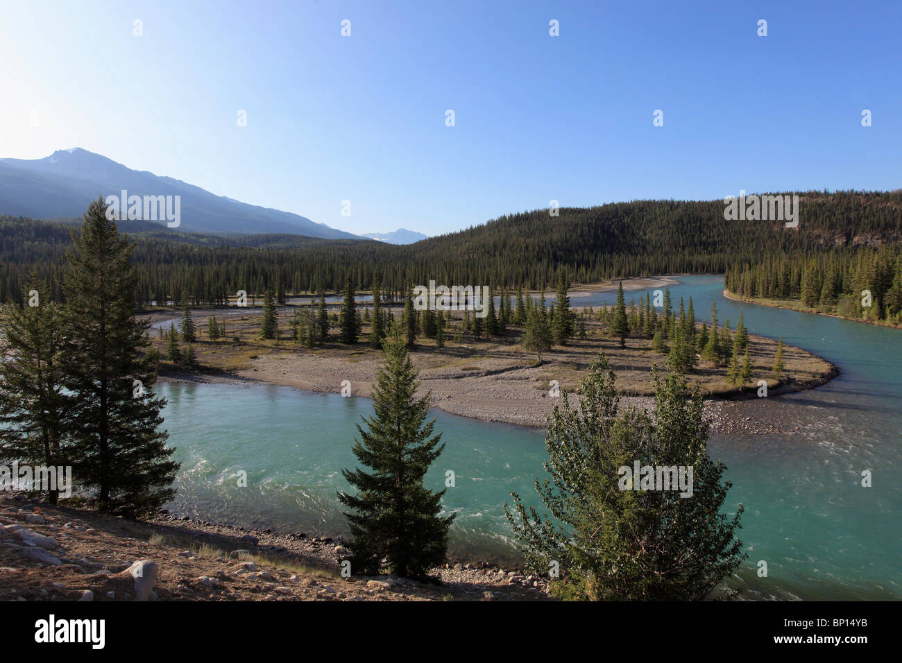 Athabasca island hires stock photography and images Alamy