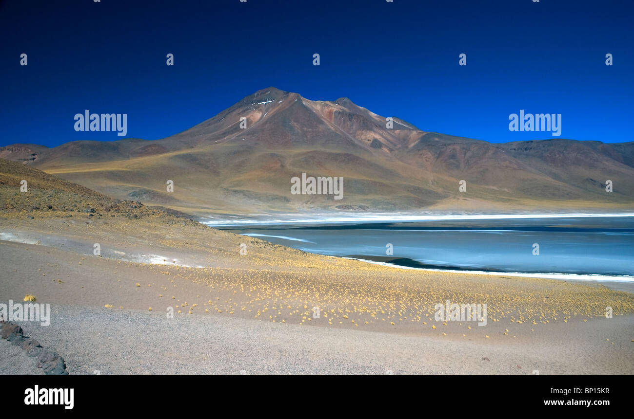 Volcan Miniques towers over the salt lake Laguna Miniques, in the Andes mountains of Chile. Stock Photo