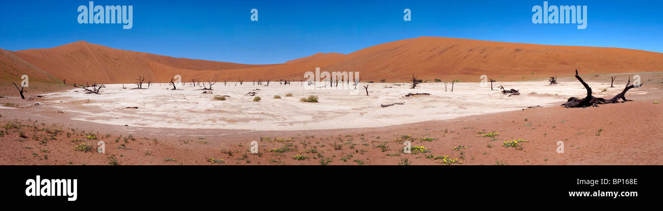 Panoramic view of the Dead Vlei at Sossusvlei Namib Naukluft Park Namibia Stock Photo