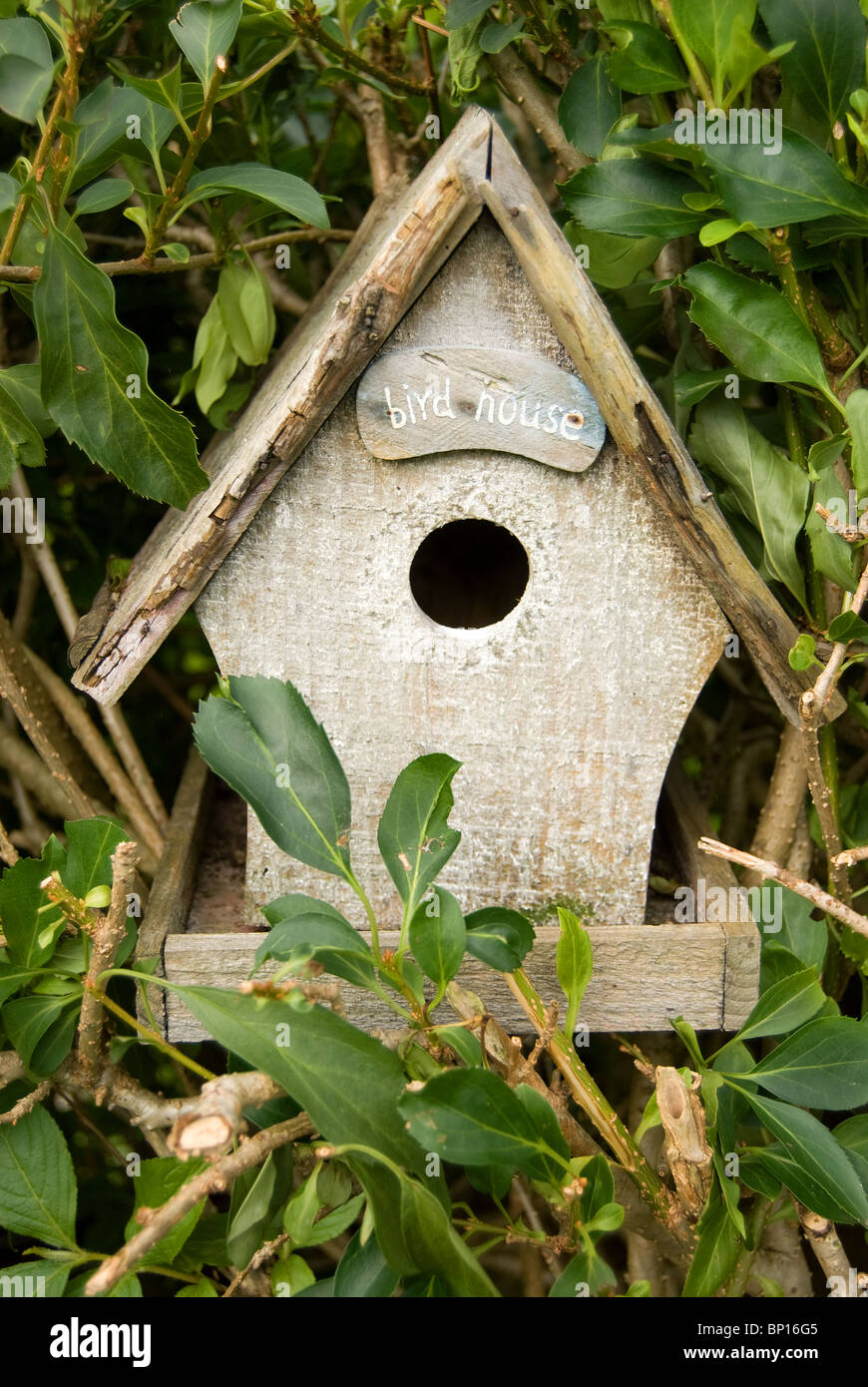 Birdhouse Stock Photo