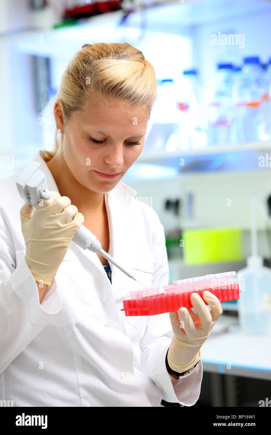 Biotechnology laboratory. Laboratory assistants working in a chemical