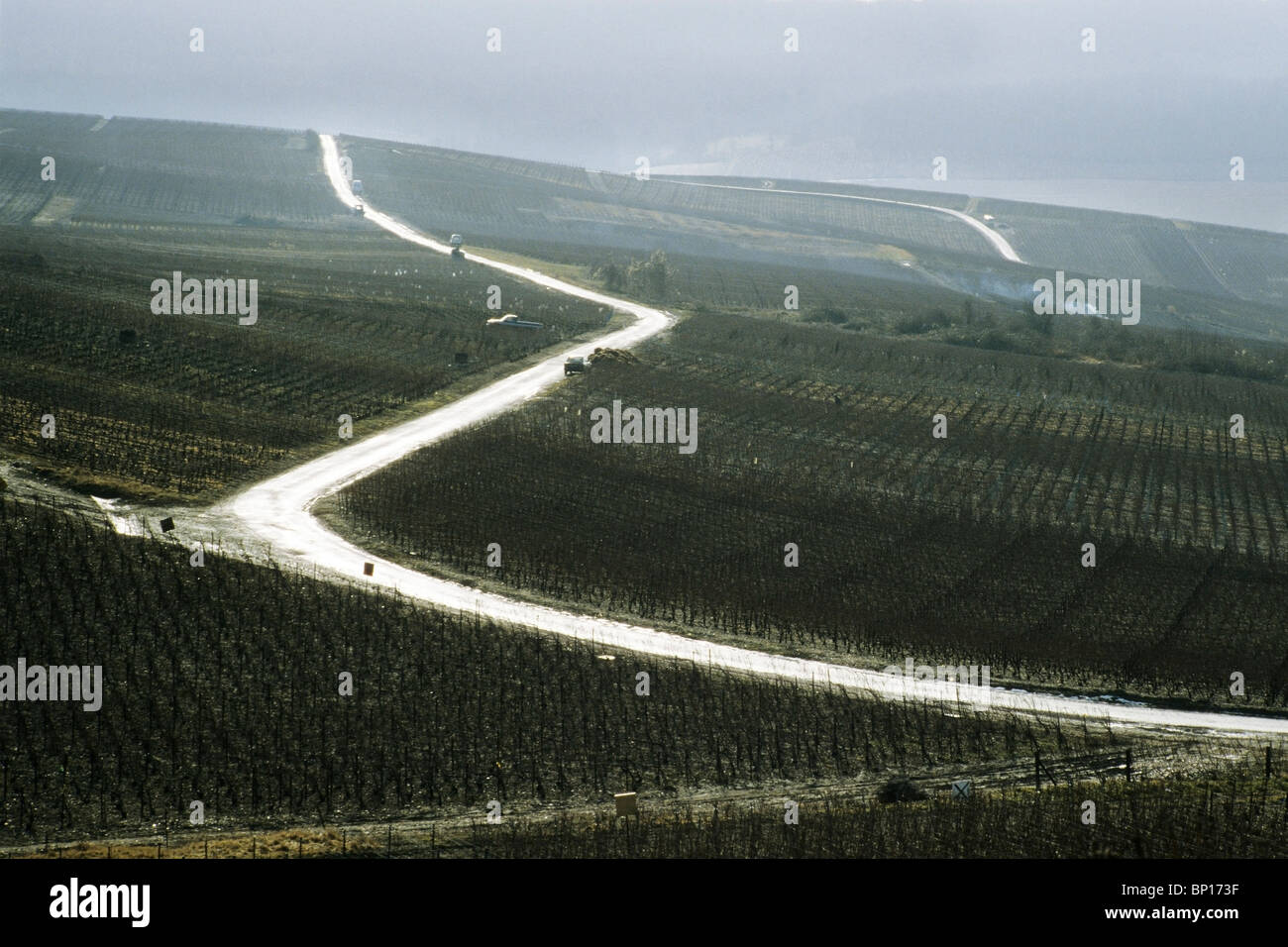 France Champagne Trail Montagne De Reims Stock Photo