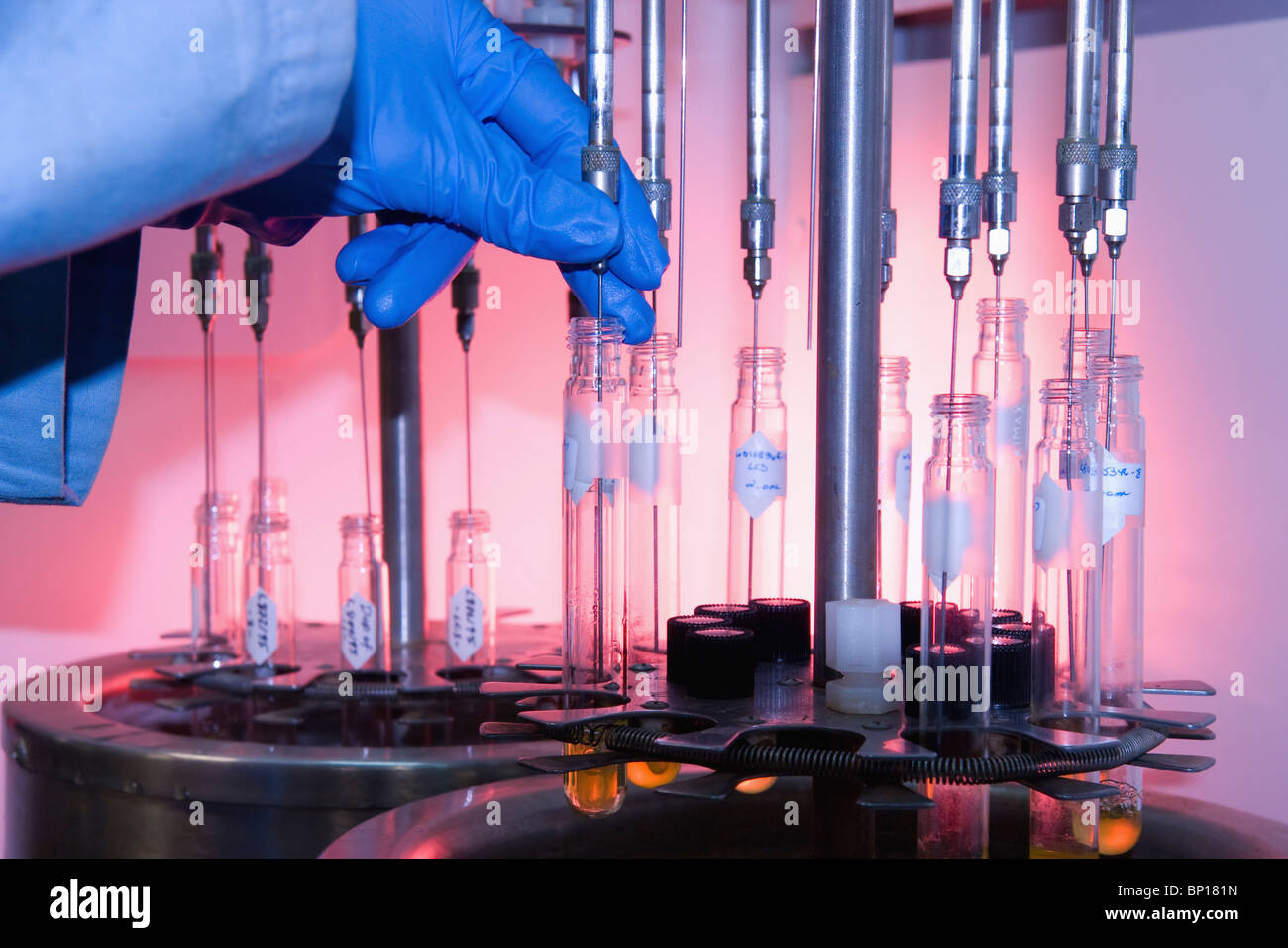 Edmonton, Alberta, Canada; A Gloved Hand Puts Liquid Into Test Tubes In