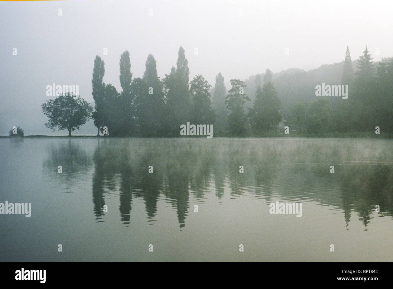 France forest compiegne hi-res stock photography and images - Alamy