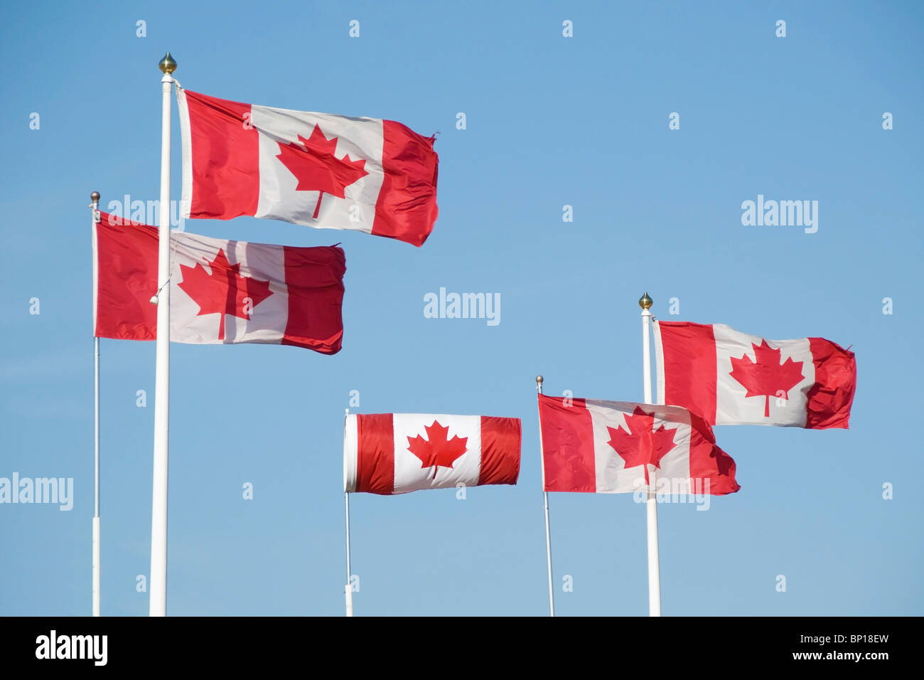 Edmonton, Alberta, Canada; Five Canadian Flags On Flag Poles Stock