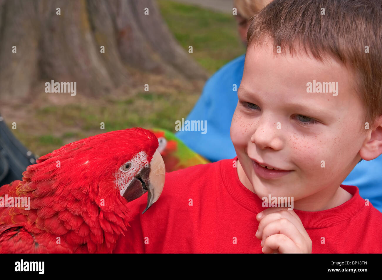 Portrait Red Short Hair Six Years Old Smile Smiling Stock Photos