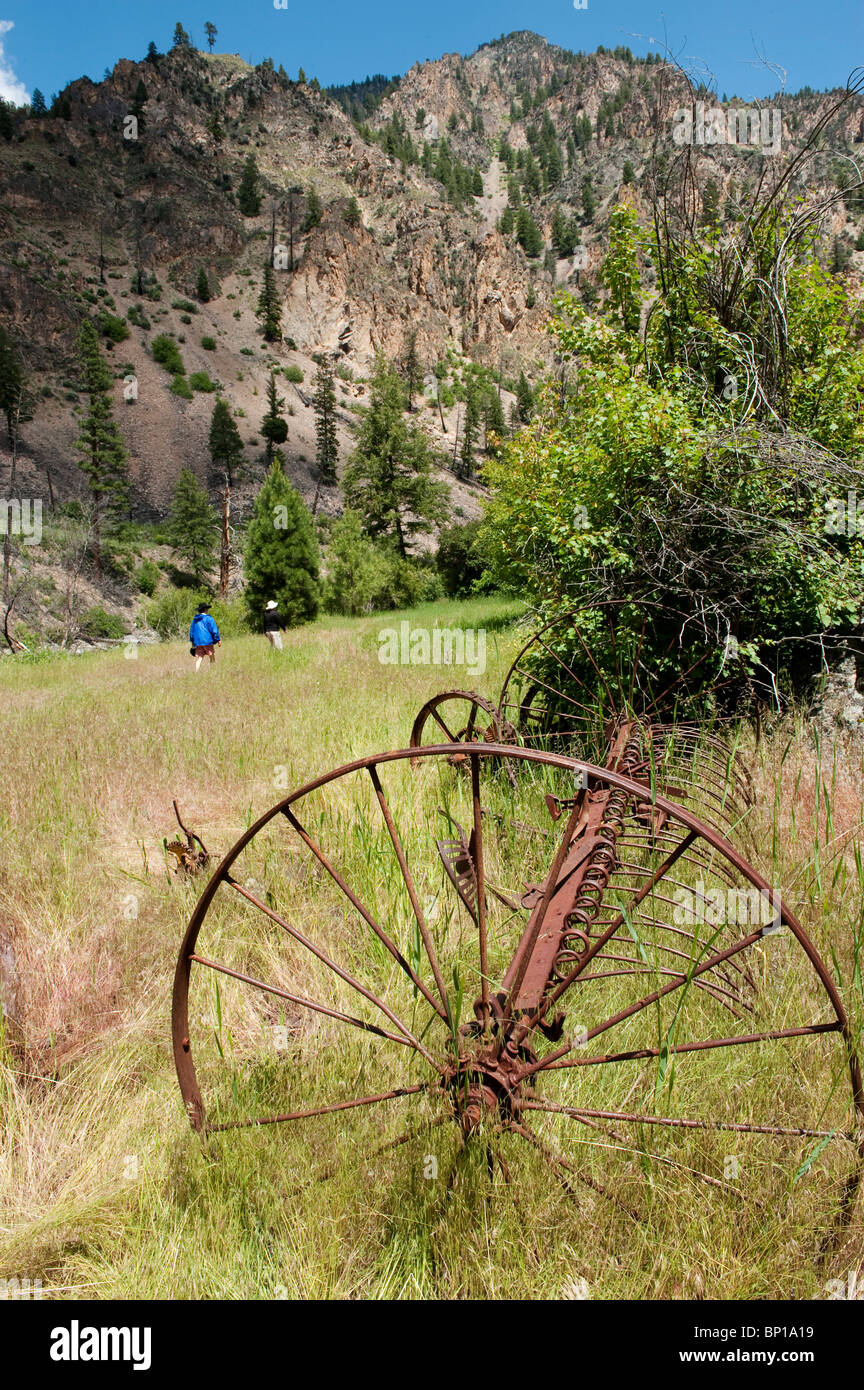 Tappan Meadows and Homestead, Middle Fork of the Salmon River, Frank